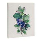 Blueberry branches painted in watercolor Canvas Print Gallery Image 8