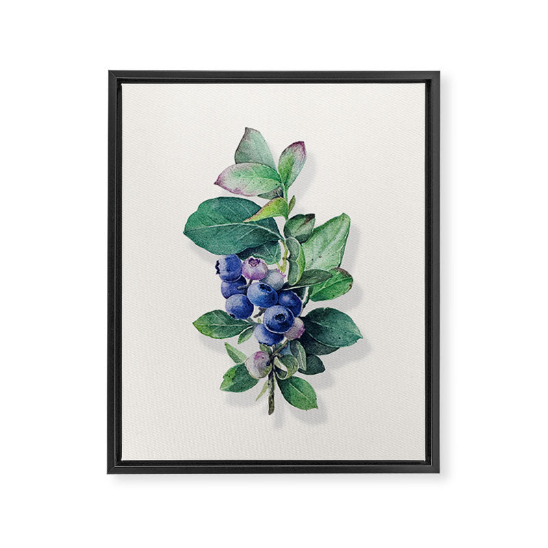 Blueberry branches painted in watercolor Framed Canvas Print Gallery Image 8