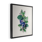 Blueberry branches painted in watercolor Framed Canvas Print Gallery Image 2