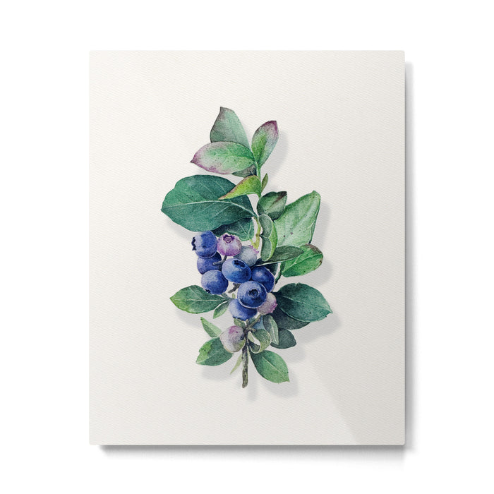 Blueberry branches painted in watercolor Metal Print Gallery Image 1