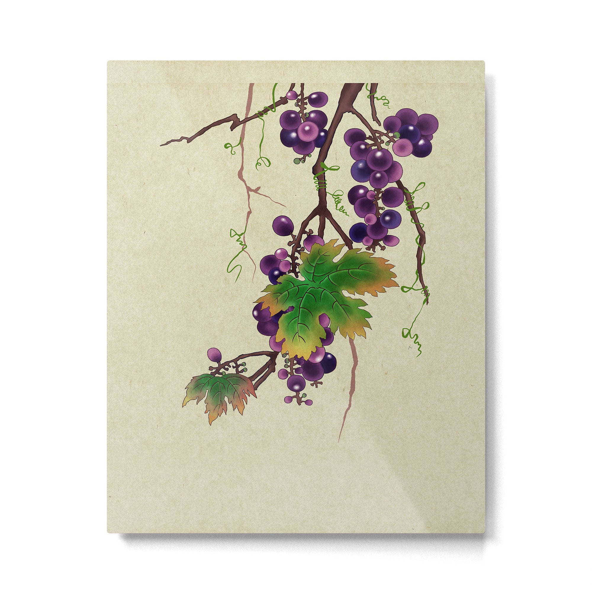 Minhwa : Grapevine Type (Korean traditional/folk art) Metal Print Gallery Image 6