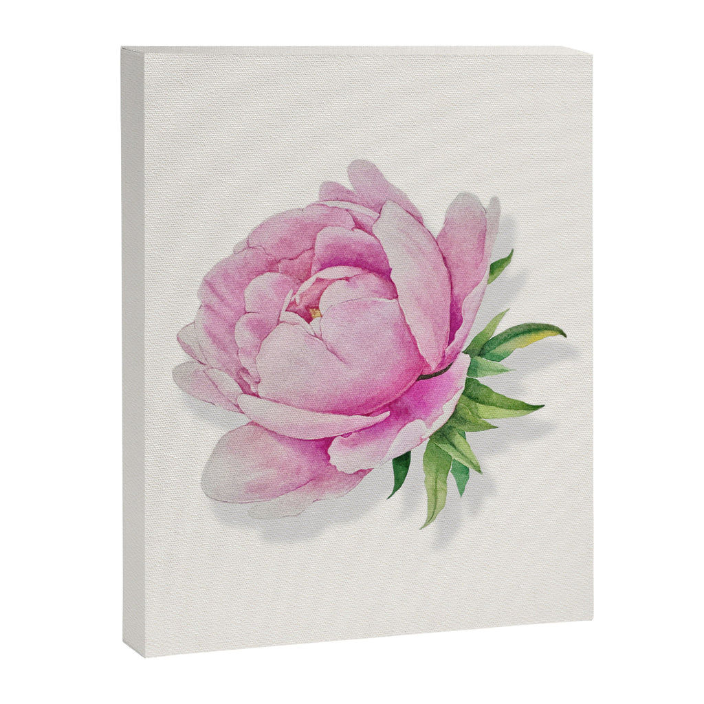 Peony flower painted in watercolor Canvas Print Gallery Image 8