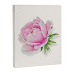 Peony flower painted in watercolor Canvas Print Gallery Image 8