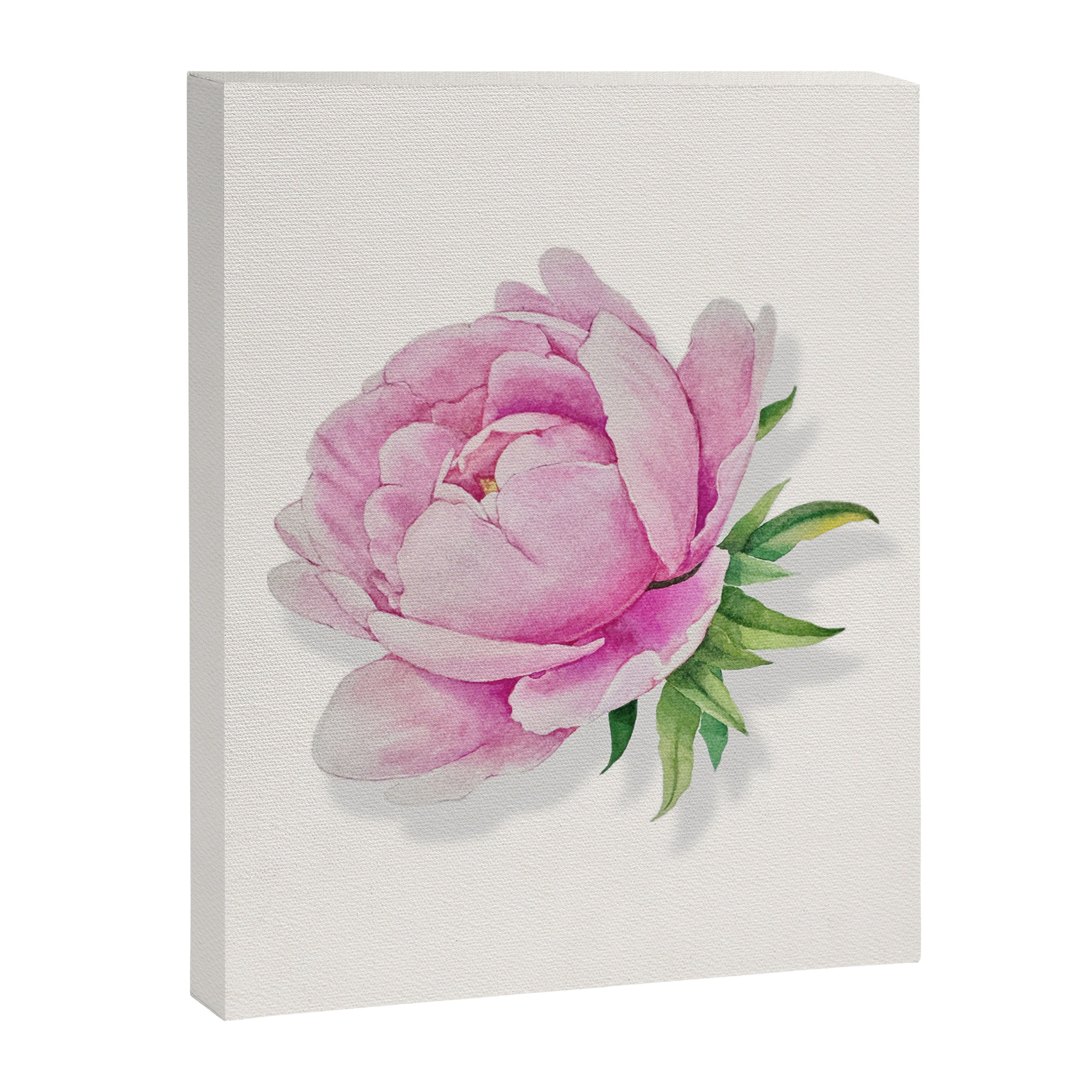 Peony flower painted in watercolor Canvas Print Gallery Image 8