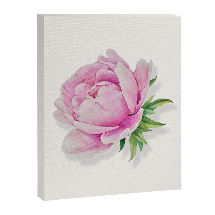 Peony flower painted in watercolor Canvas Print Gallery Image 1