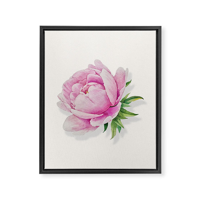 Peony flower painted in watercolor Framed Canvas Print Gallery Image 1
