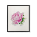 Peony flower painted in watercolor Framed Canvas Print Gallery Image 8