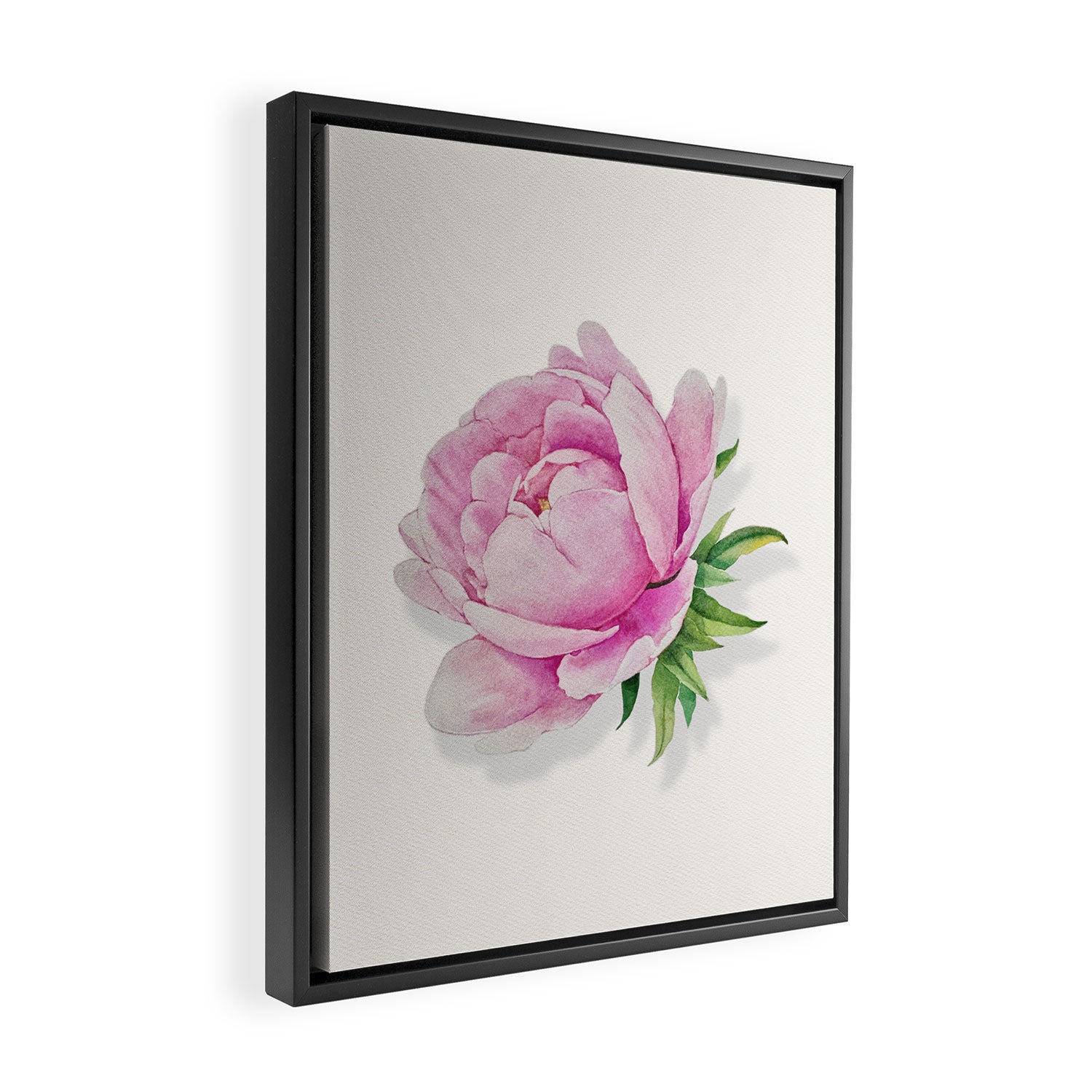 Peony flower painted in watercolor Framed Canvas Print Gallery Image 2