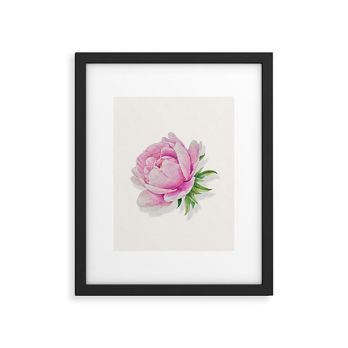 Peony flower painted in watercolor Framed Art Print Gallery Image 1