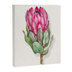 Protea flower painted in watercolor Canvas Print Gallery Image 8