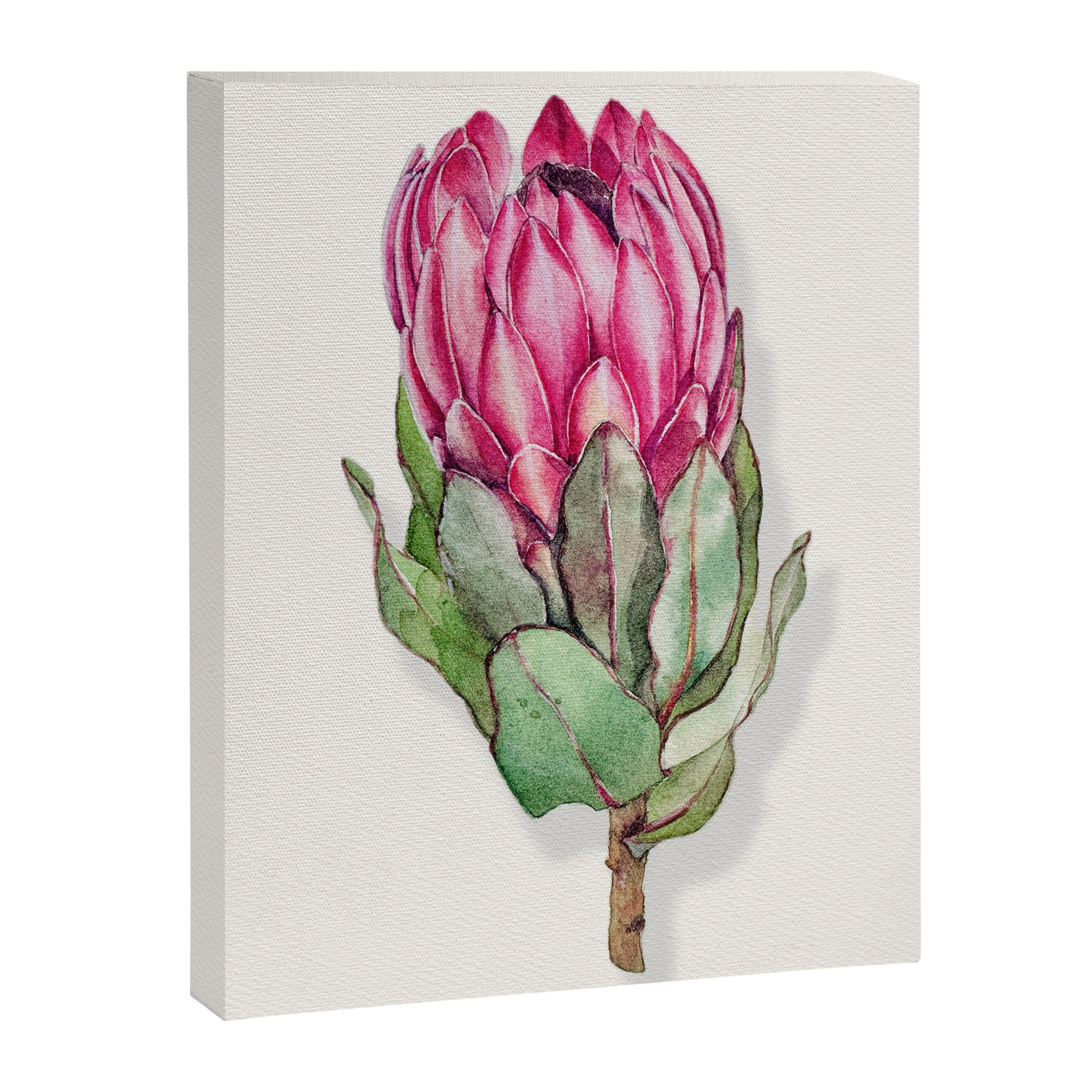 Protea flower painted in watercolor Canvas Print Gallery Image 8