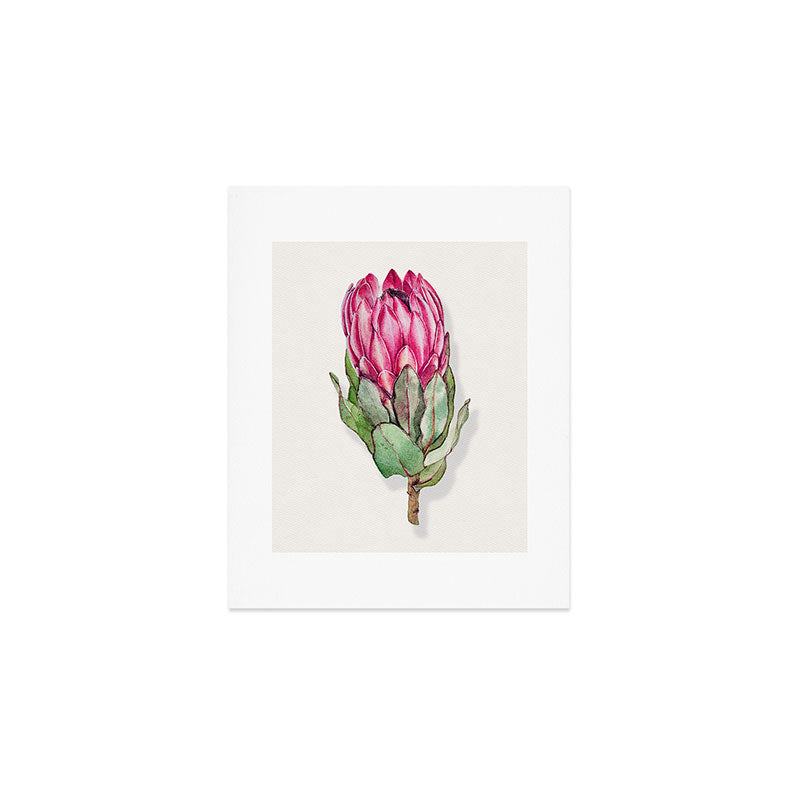 Protea flower painted in watercolor Art Print Gallery Image 1