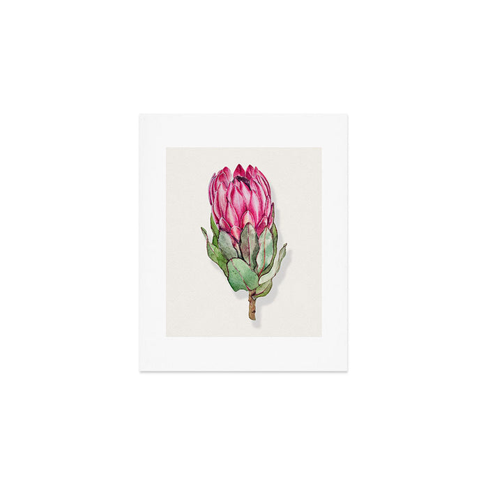 Protea flower painted in watercolor Art Print Gallery Image 1