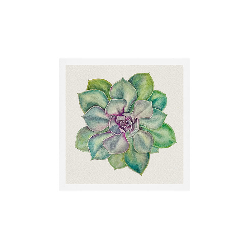 Succulents painted in watercolor Art Print Gallery Image 1