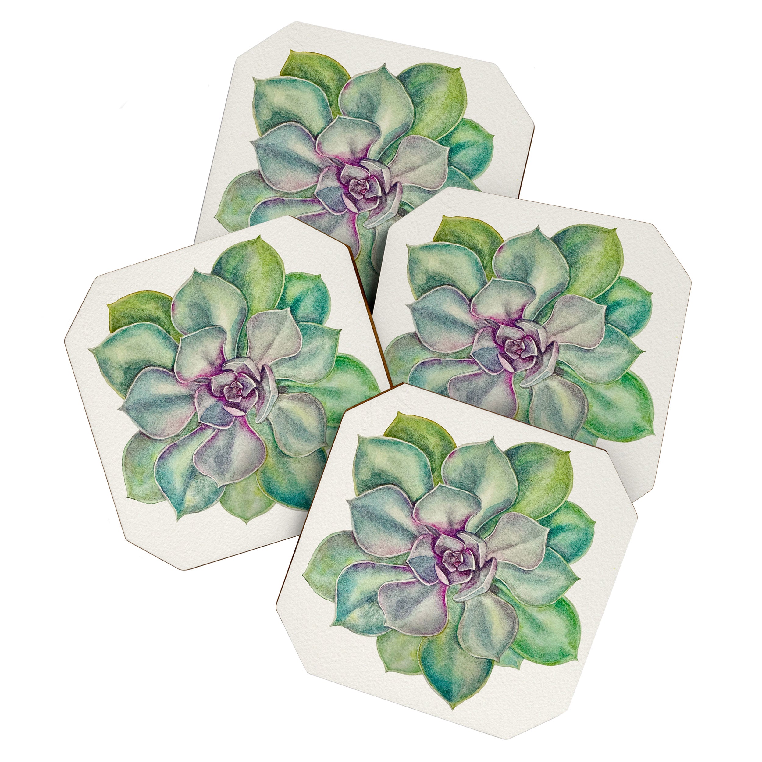 Succulents painted in watercolor Coaster Gallery Image 1