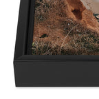 Cloud Nine Framed Canvas Print Gallery Image 3