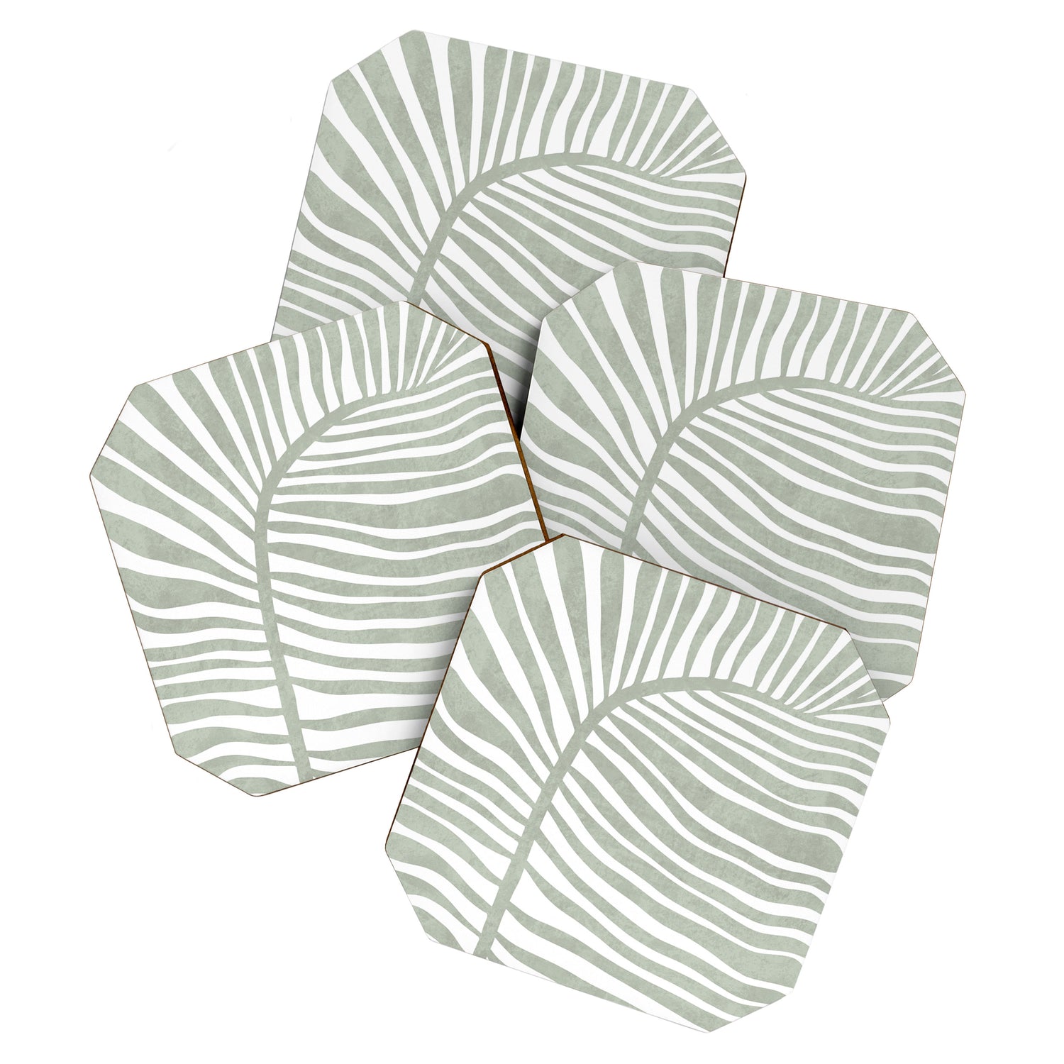 Abstract sage green leaf Coaster Gallery Image 1