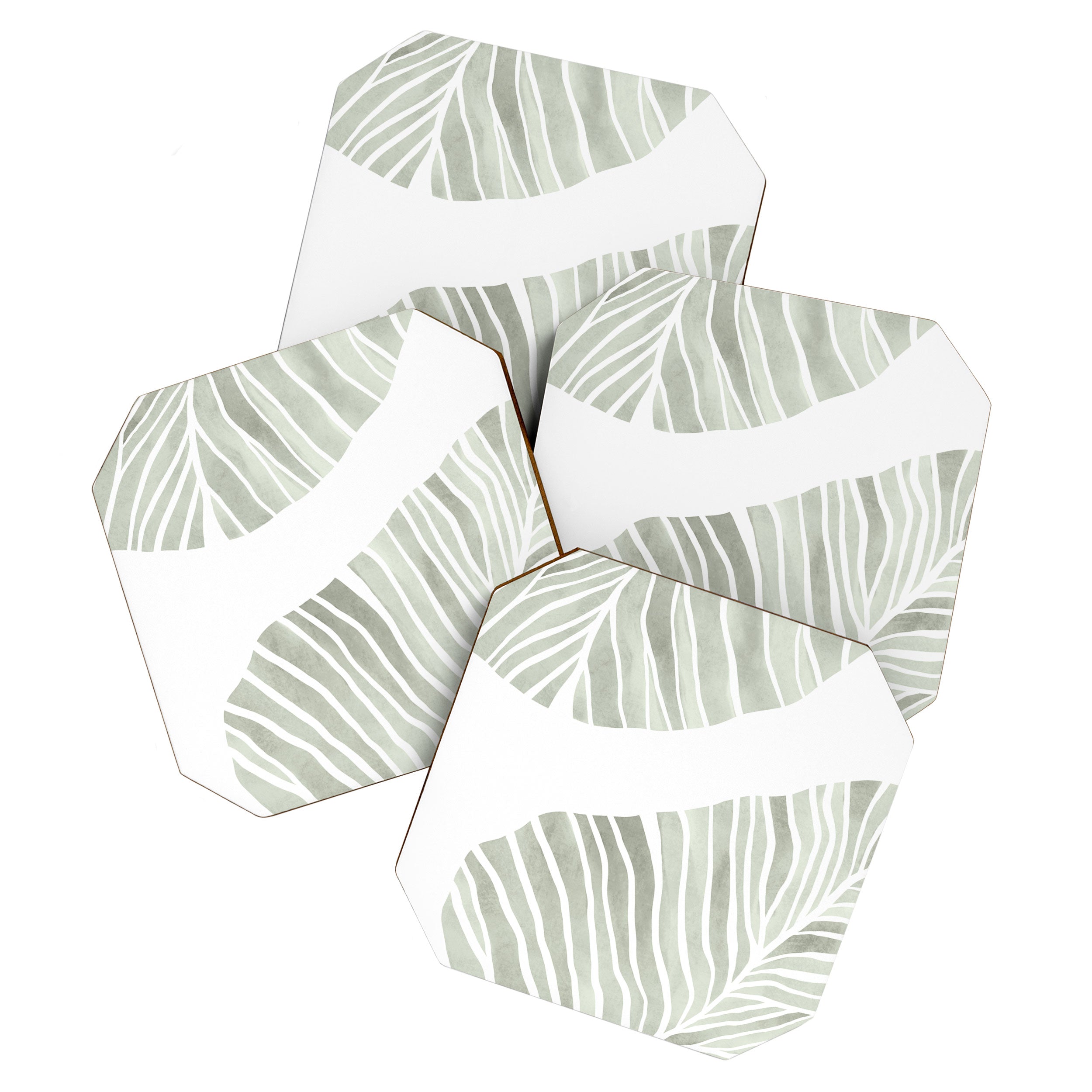 Sage green tropical leaves Coaster Gallery Image 1
