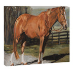 Austin Canvas Print Gallery Image 12