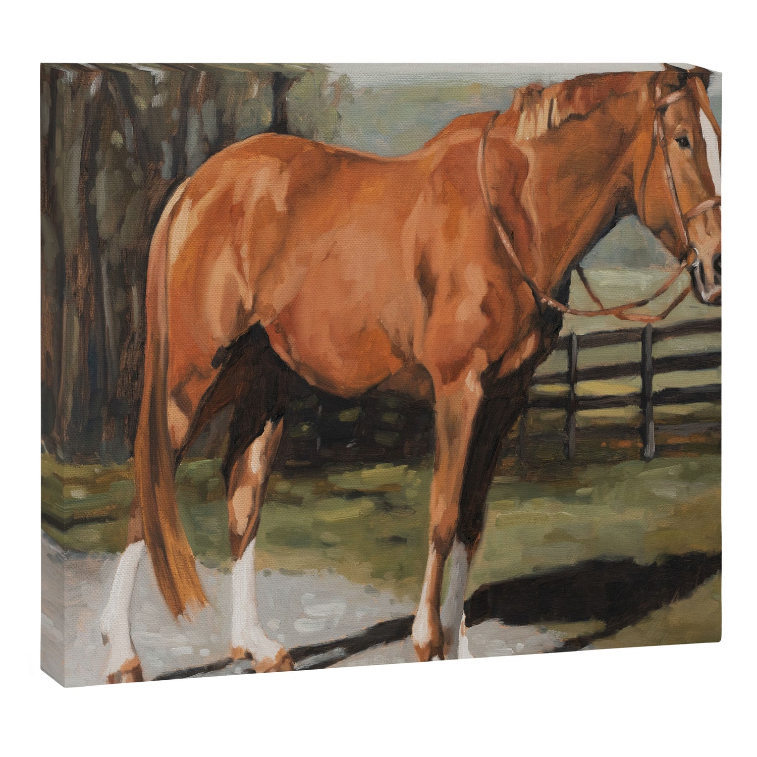Austin Canvas Print Gallery Image 3