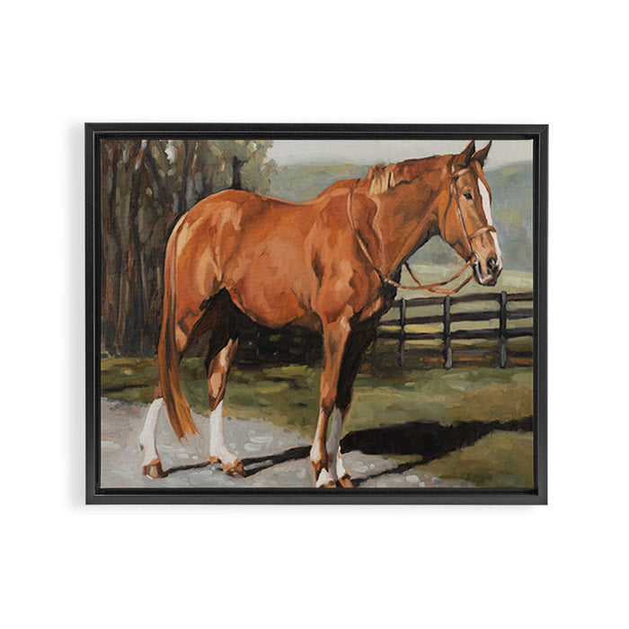Austin Framed Canvas Print Gallery Image 1