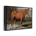 Austin Framed Canvas Print Gallery Image 2