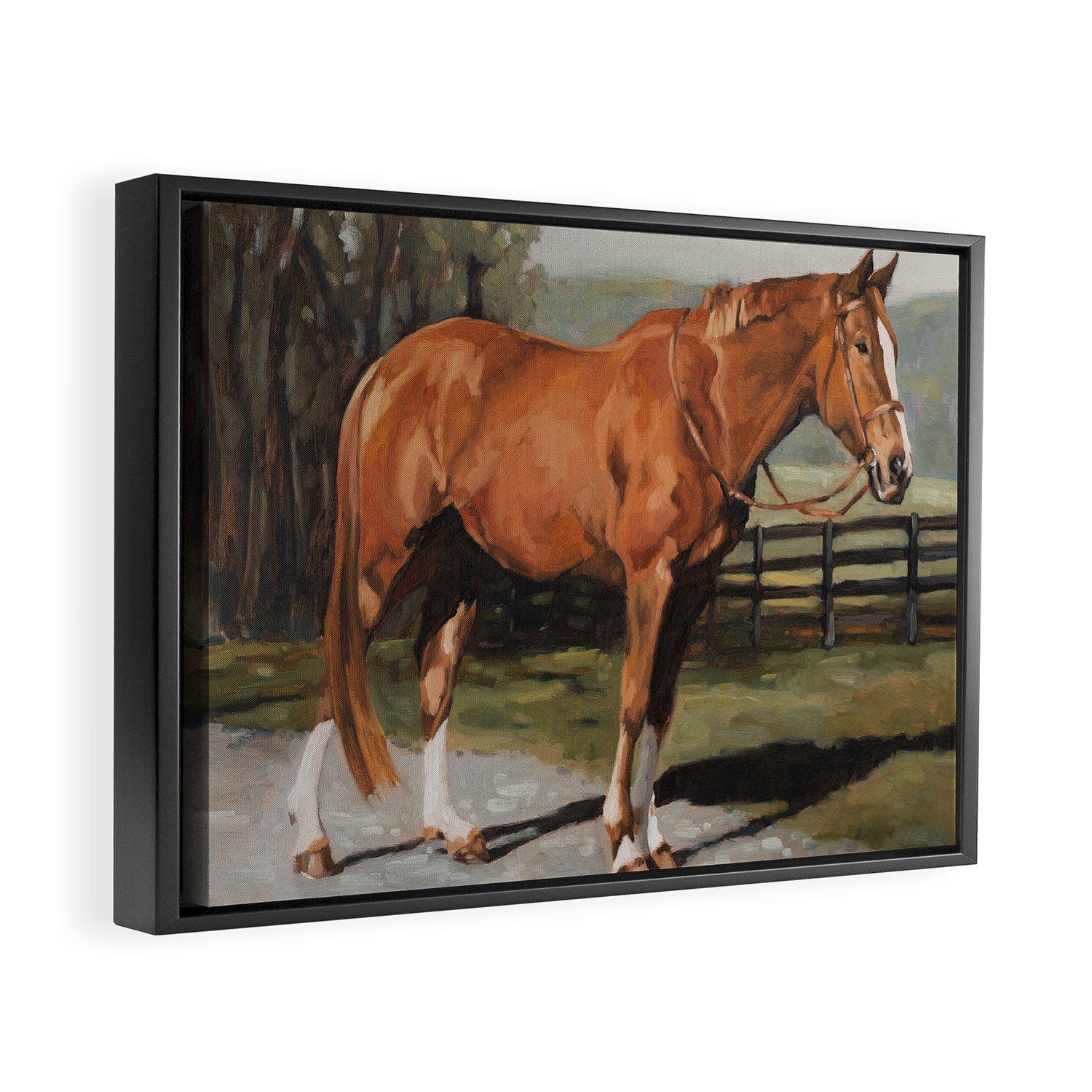 Austin Framed Canvas Print Gallery Image 2