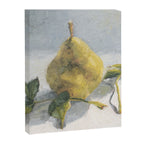 Bartlett Pear Canvas Print Gallery Image 6