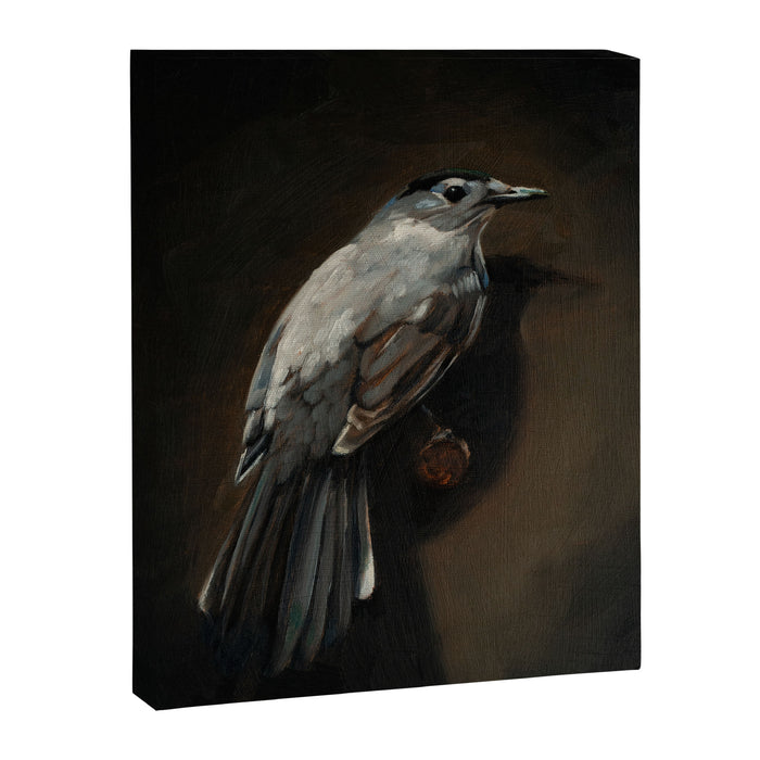 Catbird Canvas Print Gallery Image 1