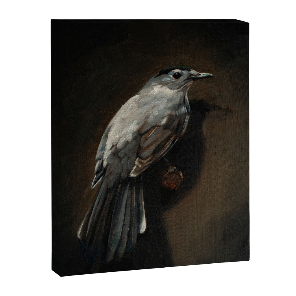 Catbird Canvas Print Gallery Image 6