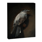 Catbird Canvas Print Gallery Image 6