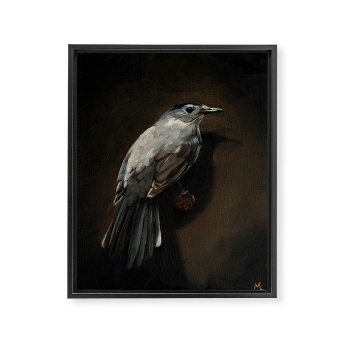 Catbird Framed Canvas Print Gallery Image 1