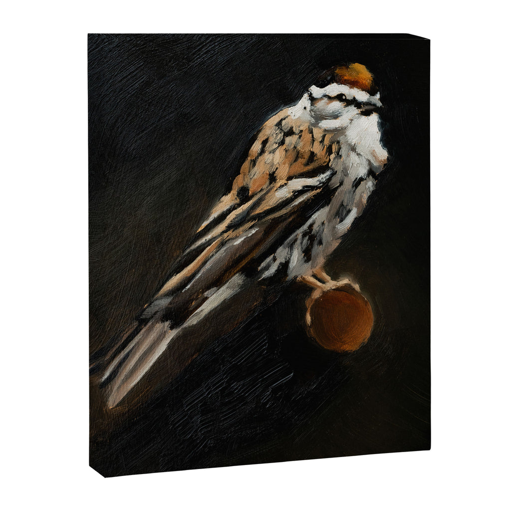 Chipping Sparrow Canvas Print Gallery Image 6
