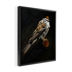 Chipping Sparrow Framed Canvas Print Gallery Image 2
