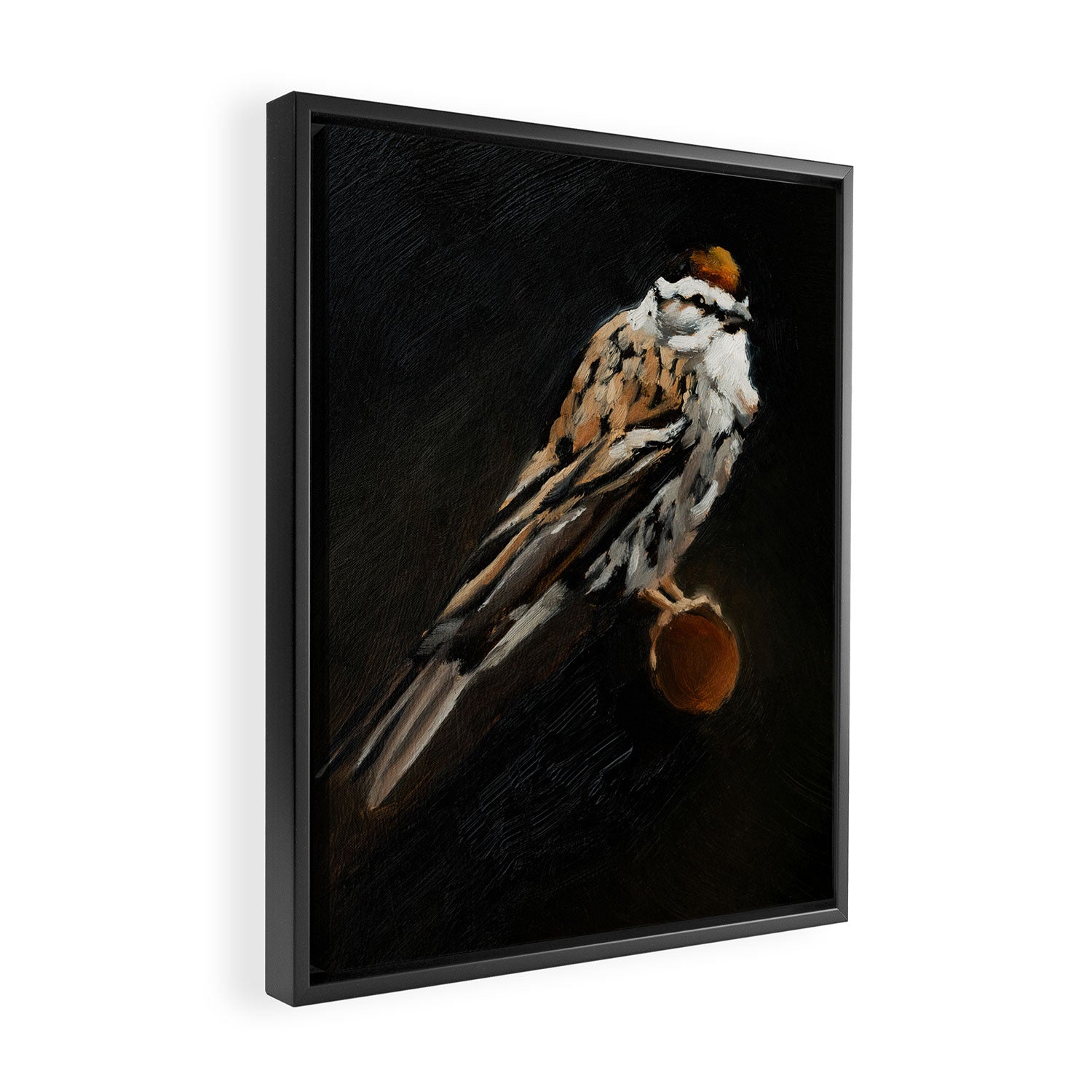 Chipping Sparrow Framed Canvas Print Gallery Image 2
