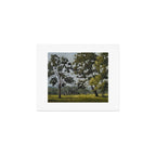 cows through the trees Art Print Gallery Image 1