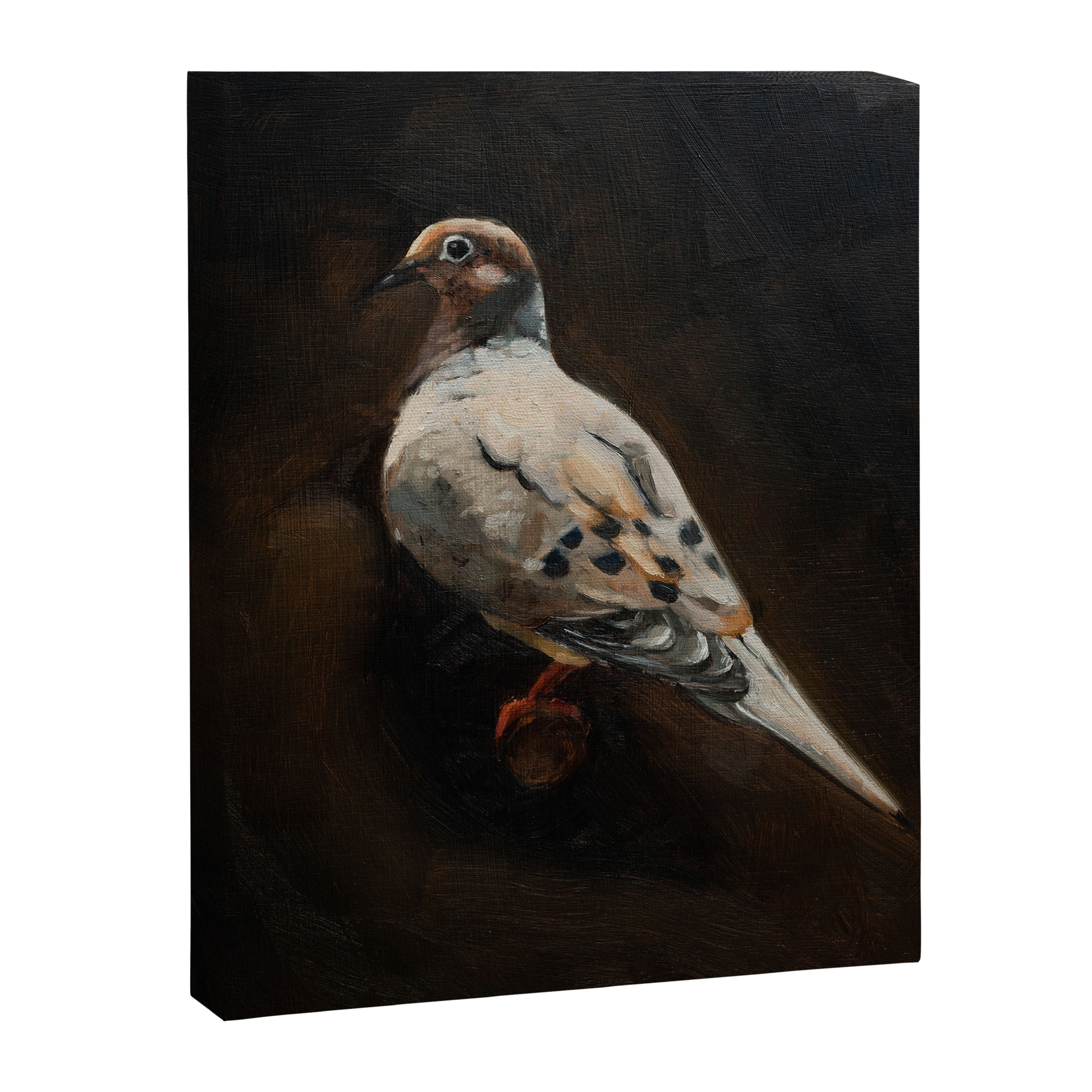 Dove Portrait Canvas Print Gallery Image 6
