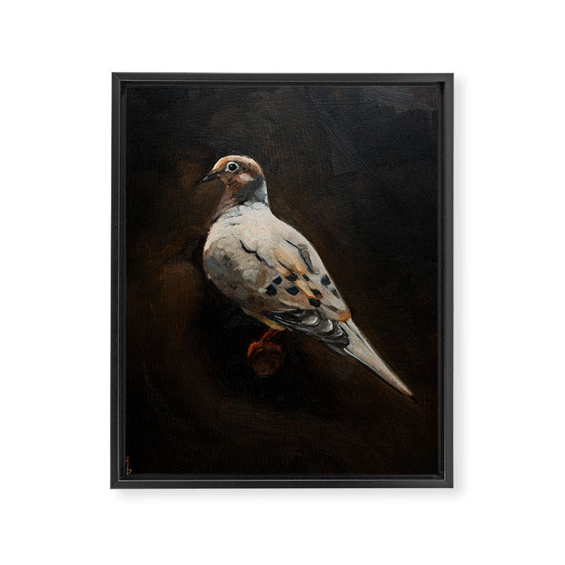 Dove Portrait Framed Canvas Print Gallery Image 6