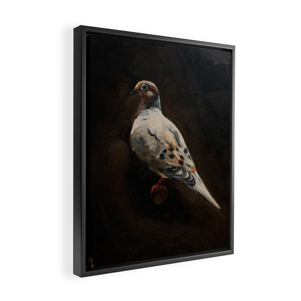Dove Portrait Framed Canvas Print Gallery Image 2