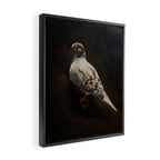 Dove Portrait Framed Canvas Print Gallery Image 2