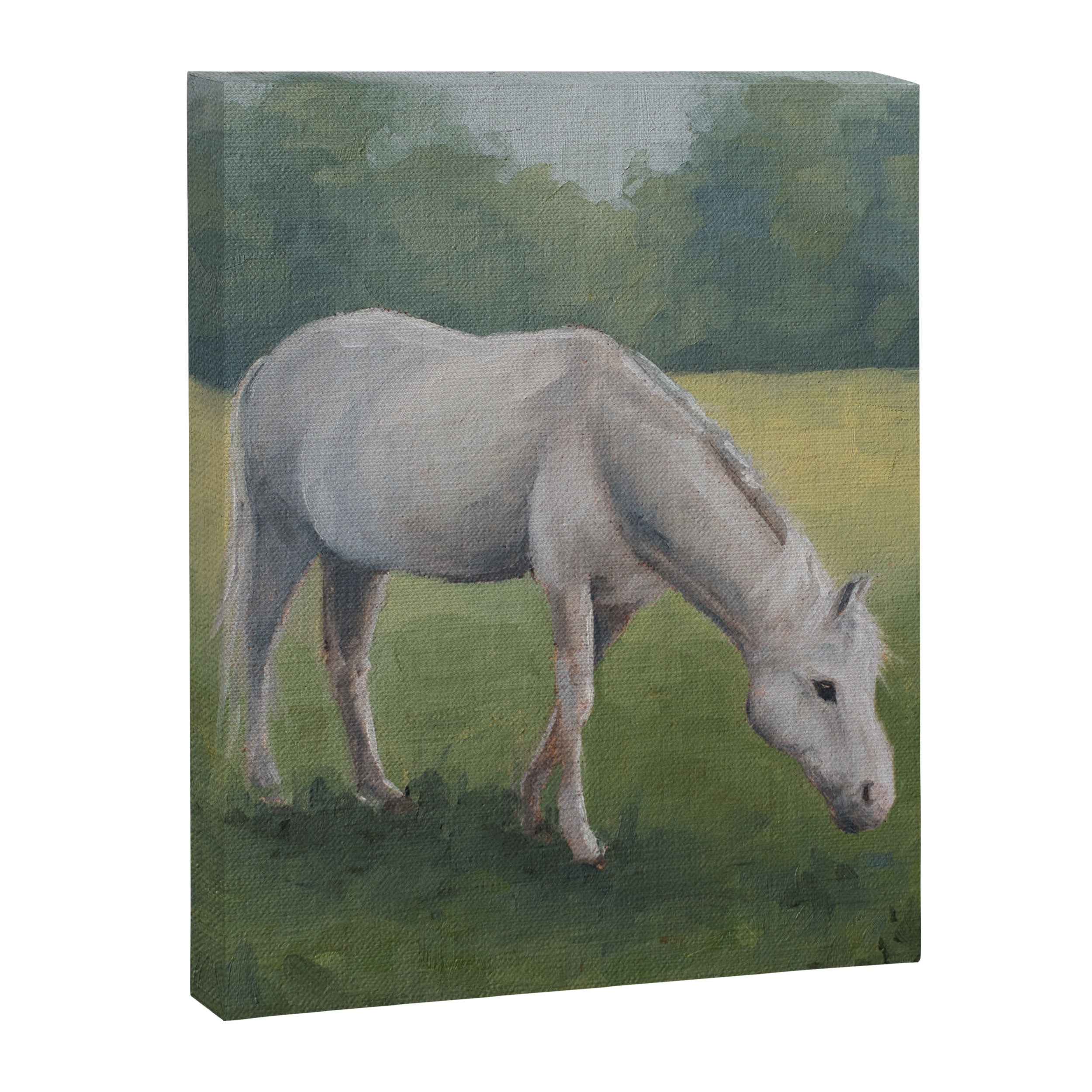grazing Canvas Print Gallery Image 6