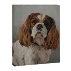 King Charles Cavalier Spaniel Canvas Print Gallery Image 6