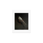 Robin Art Print Gallery Image 1