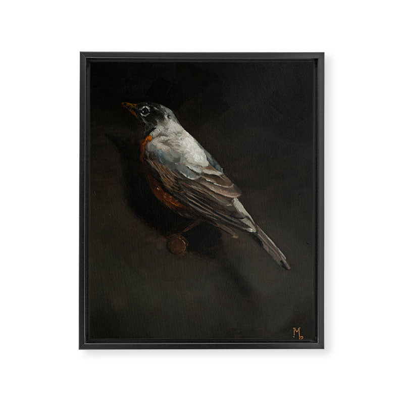 Robin Framed Canvas Print Gallery Image 6