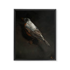 Robin Framed Canvas Print Gallery Image 6
