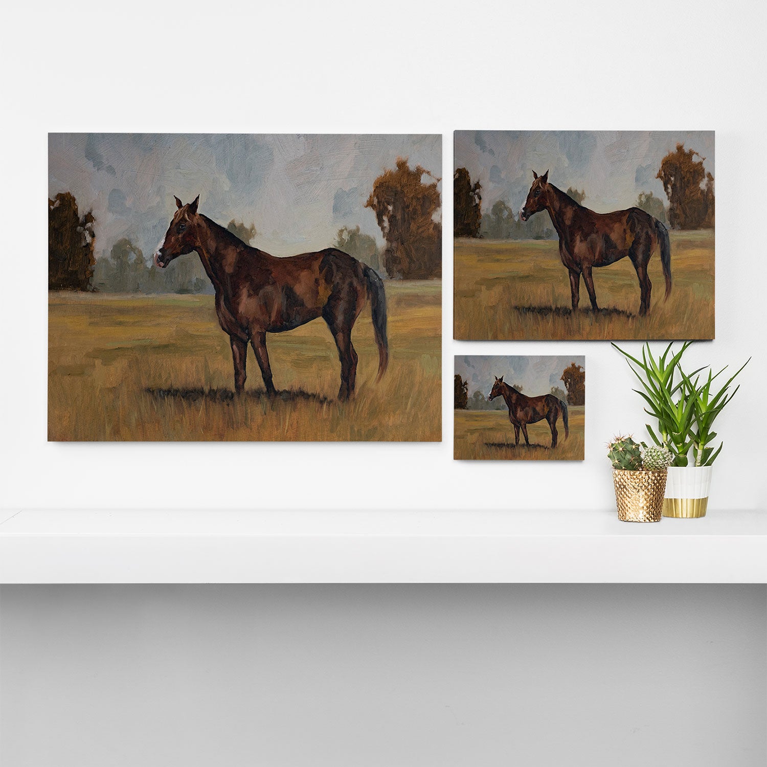Runaway Rocky Canvas Print Gallery Image 3
