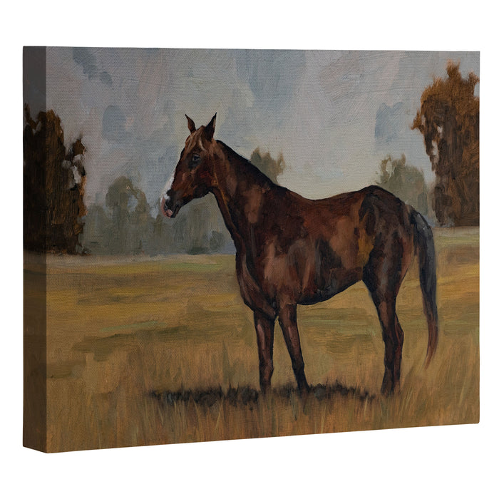 Runaway Rocky Canvas Print Gallery Image 1