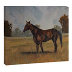 Runaway Rocky Canvas Print Gallery Image 14