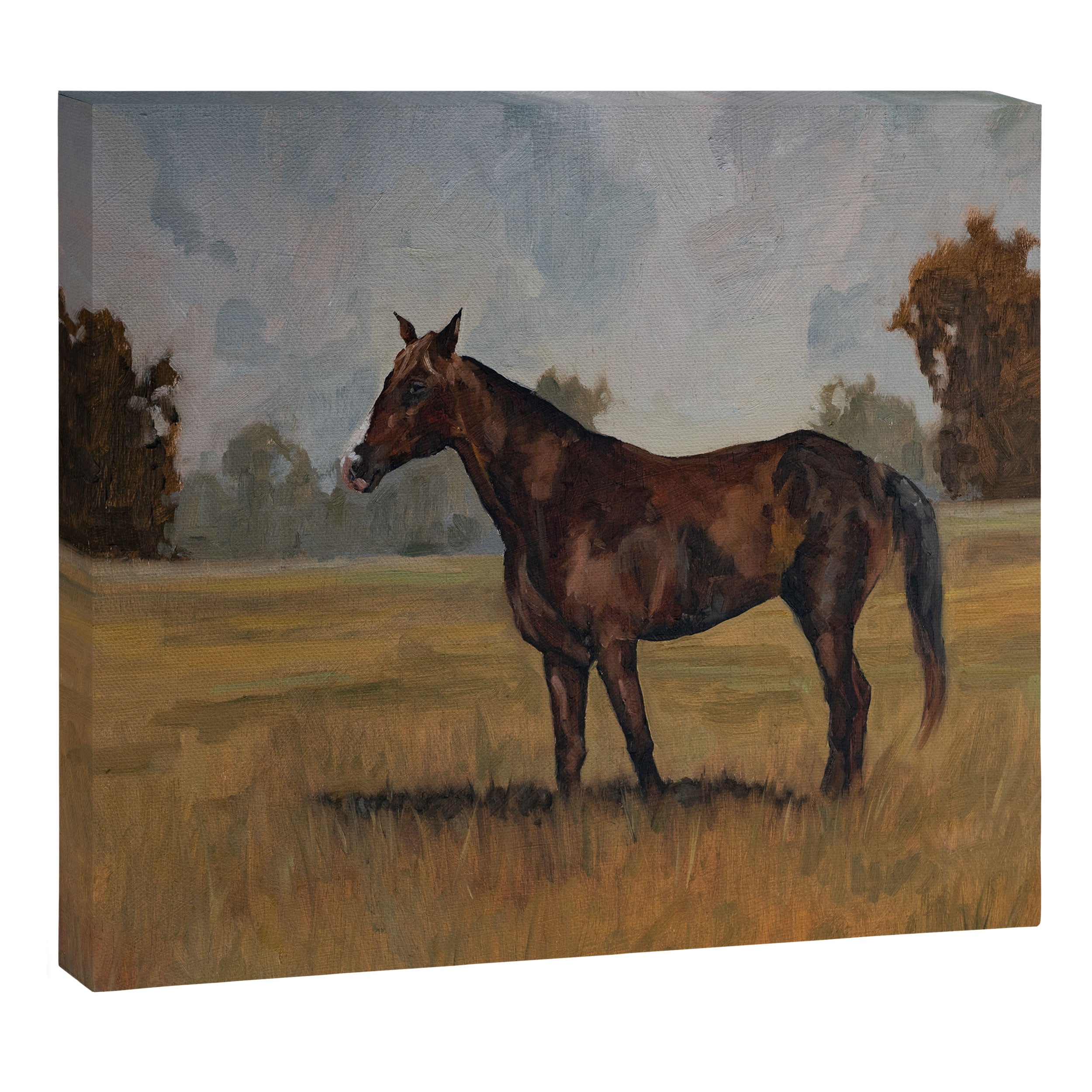 Runaway Rocky Canvas Print Gallery Image 14