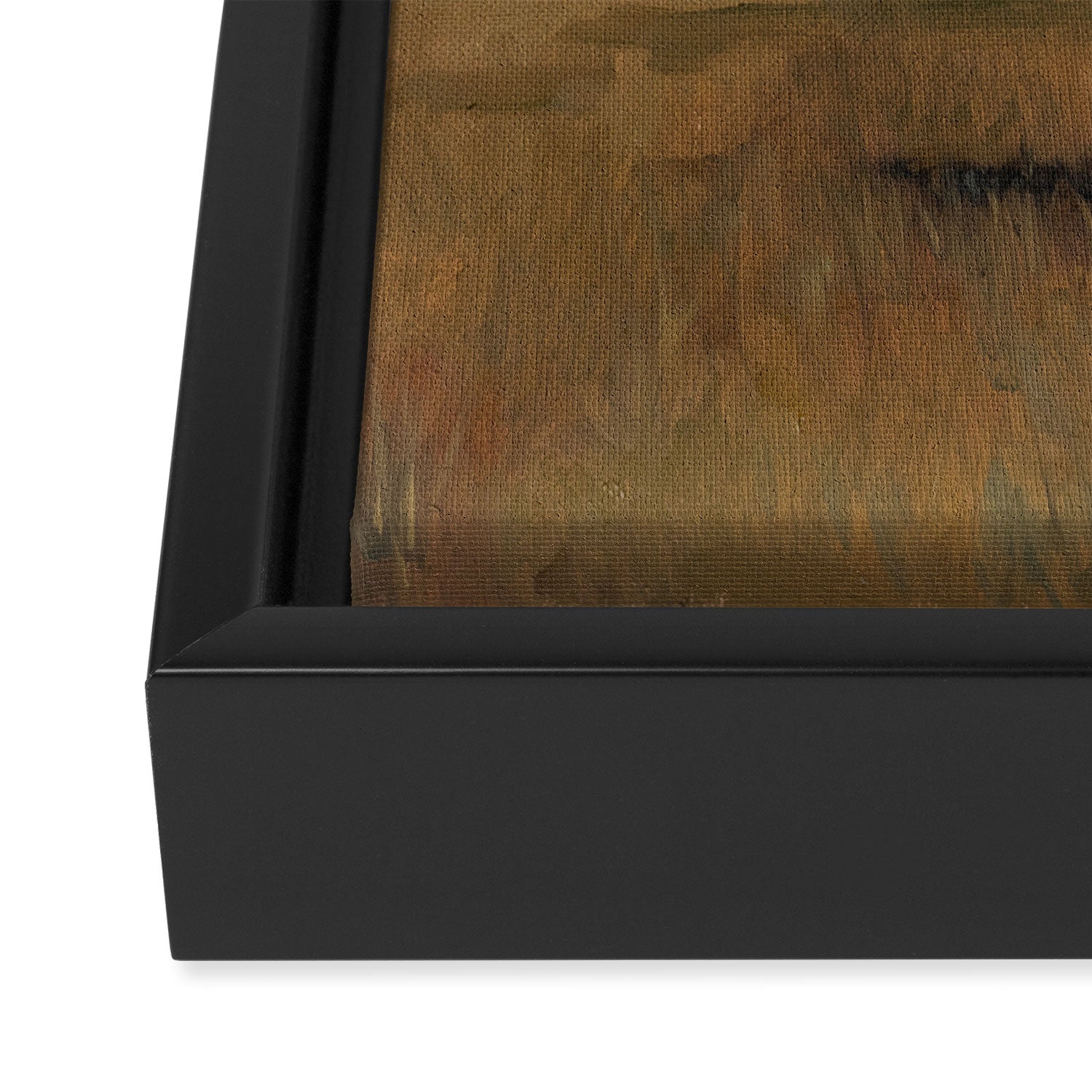 Runaway Rocky Framed Canvas Print Gallery Image 3
